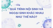Quá trình nội sinh và ngoại sinh khác nhau như thế nào?