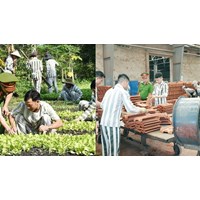 Mục đích trích kết quả lao động của phạm nhân cho Quỹ hòa nhập cộng đồng