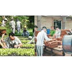 Mục đích trích kết quả lao động của phạm nhân cho Quỹ hòa nhập cộng đồng