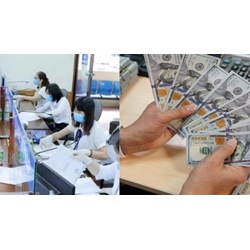 Lệ phí đăng ký khai tử cho người Việt Nam ở nước ngoài