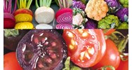 Phí thẩm định cấp giấy chứng nhận an toàn sinh học cây trồng biến đổi gen