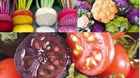Phí thẩm định cấp giấy chứng nhận an toàn sinh học cây trồng biến đổi gen