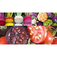 Phí thẩm định cấp giấy chứng nhận an toàn sinh học cây trồng biến đổi gen