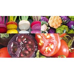 Phí thẩm định cấp giấy chứng nhận an toàn sinh học cây trồng biến đổi gen