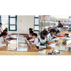 Nguyên tắc quản lý và sử dụng tài trợ đối với trường tiểu học