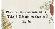 Phiếu bài tập cuối tuần lớp 1 Tuần 8 Kết nối tri thức có đáp án