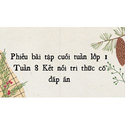 Phiếu bài tập cuối tuần lớp 1 Tuần 8 Kết nối tri thức có đáp án