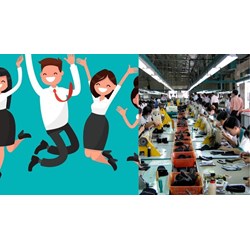 Thời hạn của giấy phép hoạt động cho thuê lại lao động