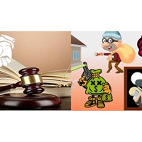 Tổng hợp các tội xâm phạm sở hữu theo Bộ luật Hình sự hiện hành