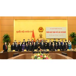 Chức năng và nhiệm vụ Ủy ban đối ngoại của Quốc hội hiện nay