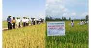 Hội nghị thành lập hợp tác xã có phải do sáng lập viên tổ chức ?