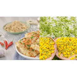 Đăng ký nhãn hiệu cho sản phẩm OCOP tại Ninh Bình như thế nào?