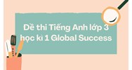 Đề thi Tiếng Anh lớp 3 học kì 1 Global Success có đáp án chi tiết