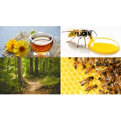 Đăng ký nhãn hiệu cho sản phẩm OCOP tại Đắk Nông như thế nào?
