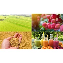 Đăng ký nhãn hiệu cho sản phẩm OCOP tại Long An như thế nào?