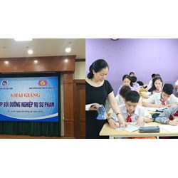 Có cần chứng chỉ bồi dưỡng nghiệp vụ sư phạm khi làm giảng viên?
