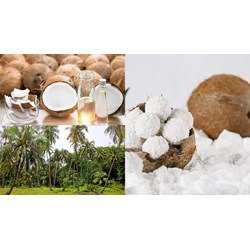 Đăng ký kiểu dáng công nghiệp tại Bến Tre thực hiện như thế nào?