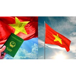 Hồ sơ xin trở lại quốc tịch Việt Nam gồm những loại giấy tờ nào?