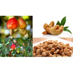Đăng ký kiểu dáng công nghiệp tại tỉnh Bình Phước như thế nào?