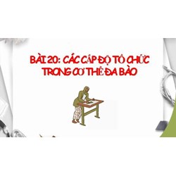 Giải KHTN Lớp 6 Bài 20: Các cấp độ tổ chức trong cơ thể đa bào