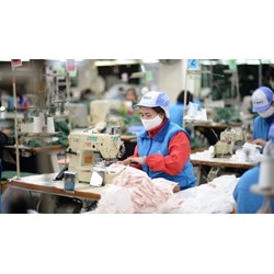 03 nhóm lao động được nhận tiền hỗ trợ từ 01 đến 03 triệu đồng