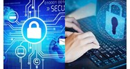 Cơ quan nhà nước trên môi trường mạng bao gồm những hoạt động nào?
