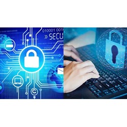 Cơ quan nhà nước trên môi trường mạng bao gồm những hoạt động nào?