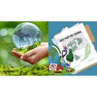 Giấy phép môi trường thành phần bao gồm những loại giấy phép nào?