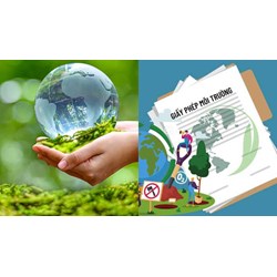 Giấy phép môi trường thành phần bao gồm những loại giấy phép nào?