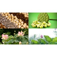 Đăng ký nhãn hiệu cho sản phẩm OCOP tại Đồng Tháp như thế nào?