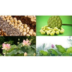 Đăng ký nhãn hiệu cho sản phẩm OCOP tại Đồng Tháp như thế nào?
