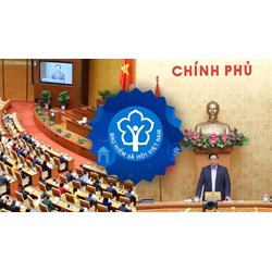 Bảo hiểm xã hội Việt Nam là cơ quan thuộc Chính phủ hay của Quốc Hội?