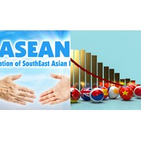 Chủ tịch Tổ chức các Quan chức Cao cấp ASEAN về môi trường của Việt Nam