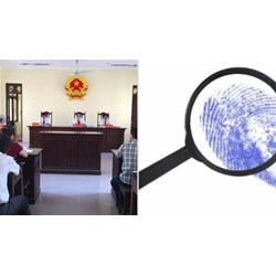 Cách xác định chứng cứ trong vụ việc dân sự theo quy định pháp luật