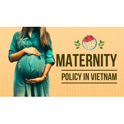 Vietnam's Maternity Leave Policy for Female Employees