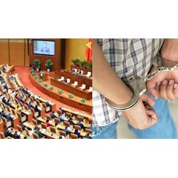 Ai có quyền đề nghị bắt giam đại biểu Quốc hội theo quy định?