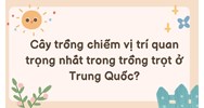 Cây trồng chiếm vị trí quan trọng nhất trong trồng trọt ở Trung Quốc?