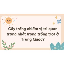 Cây trồng chiếm vị trí quan trọng nhất trong trồng trọt ở Trung Quốc?