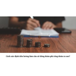 Cách xác định tiền lương làm căn cứ đóng đoàn phí công đoàn ra sao?