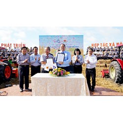 Hợp tác xã thành viên liên hiệp hợp tác xã được sở hữu mấy % vốn?