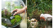 Thời gian lập đề án chi trả dịch vụ hệ sinh thái tự nhiên cấp cơ sở