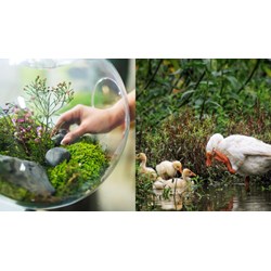 Thời gian lập đề án chi trả dịch vụ hệ sinh thái tự nhiên cấp cơ sở