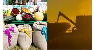 Cung cấp phụ kiện sản xuất nông nghiệp phải chịu thuế giá trị gia tăng?