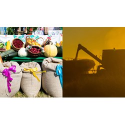 Cung cấp phụ kiện sản xuất nông nghiệp phải chịu thuế giá trị gia tăng?