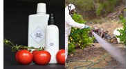 Quy định việc xử lý bao gói thuốc bảo vệ thực vật trong nông nghiệp