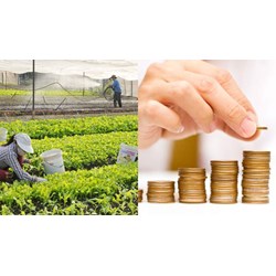 Cho phép một thành viên góp vốn hơn 20% vốn điều lệ của hợp tác xã?
