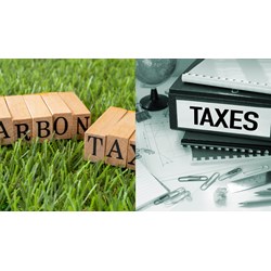 Tính thuế bảo vệ môi trường khi nhập khẩu thuốc bảo quản lâm sản?