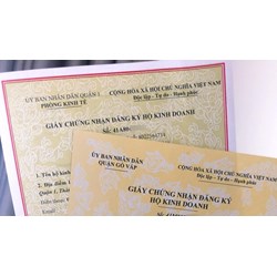 Cá nhân có bị xử phạt khi kê khai sai hồ sơ đăng ký hộ kinh doanh?