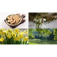 Đăng ký nhãn hiệu cho sản phẩm OCOP tại Bắc Kạn như thế nào?