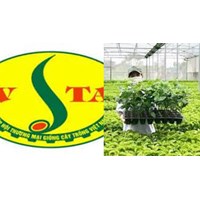 Hiệp hội thương mại giống cây trồng Việt Nam là gì?
